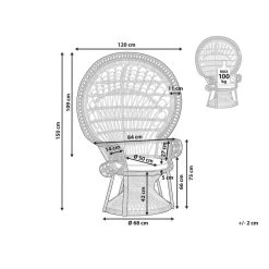 Beliani Fauteuil EMMANUELLE - Zwart Rotan -Bankstoel Winkel 0ee7c2c134074a0f8bcbb76e7e30c91e