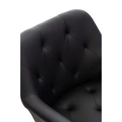 CLP Eetkamerstoel Langford Kunstleer - Zwart 7 CLP Eetkamerstoel Langford Kunstleer - Zwart -Bankstoel Winkel 1000041564 0103