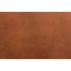 Bank Otis - 2-zits - Cognac -Bankstoel Winkel 10112063 9000 1